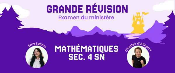 La Grande révision de mathématiques SN.