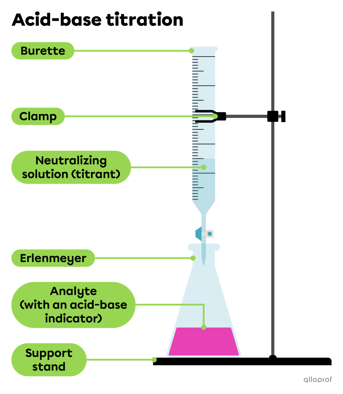 An acid-base titration can be done using apparatus like a burette containing a neutralizing solution (titrant), and an erlenmeyer flask containing the solution to be neutralized (analyte) mixed with an acid-base indicator. 