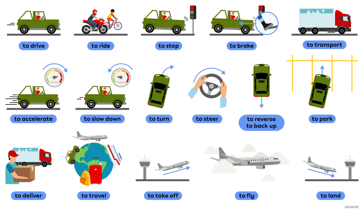 Transportation-related verbs like to drive, to transport and to fly.