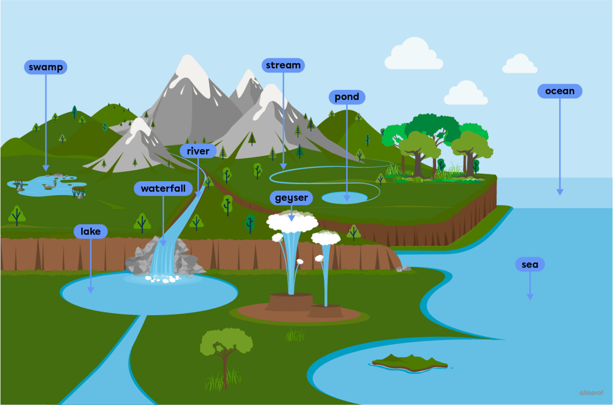 Water natural landscapes such as a lake, the ocean and a swamp.