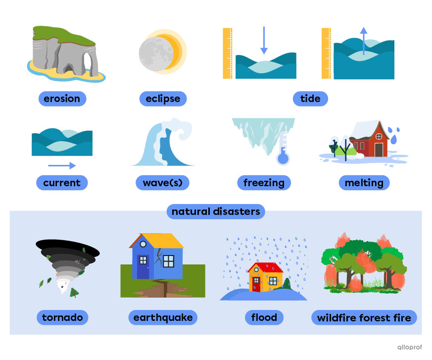 Natural phenomena vocabulary such as erosion, waves and natural disasters.