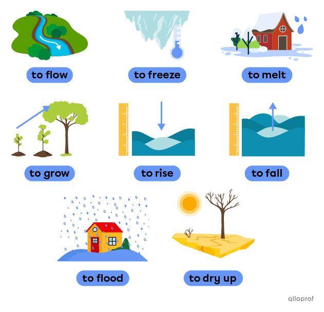 Natural landscapes-related verbs such as to flow, to grow and to dry up.