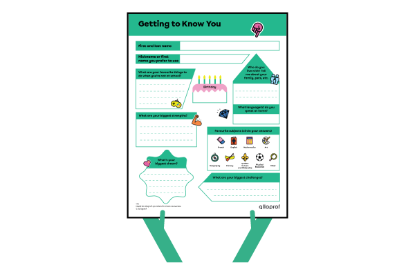 Questionnaire preview