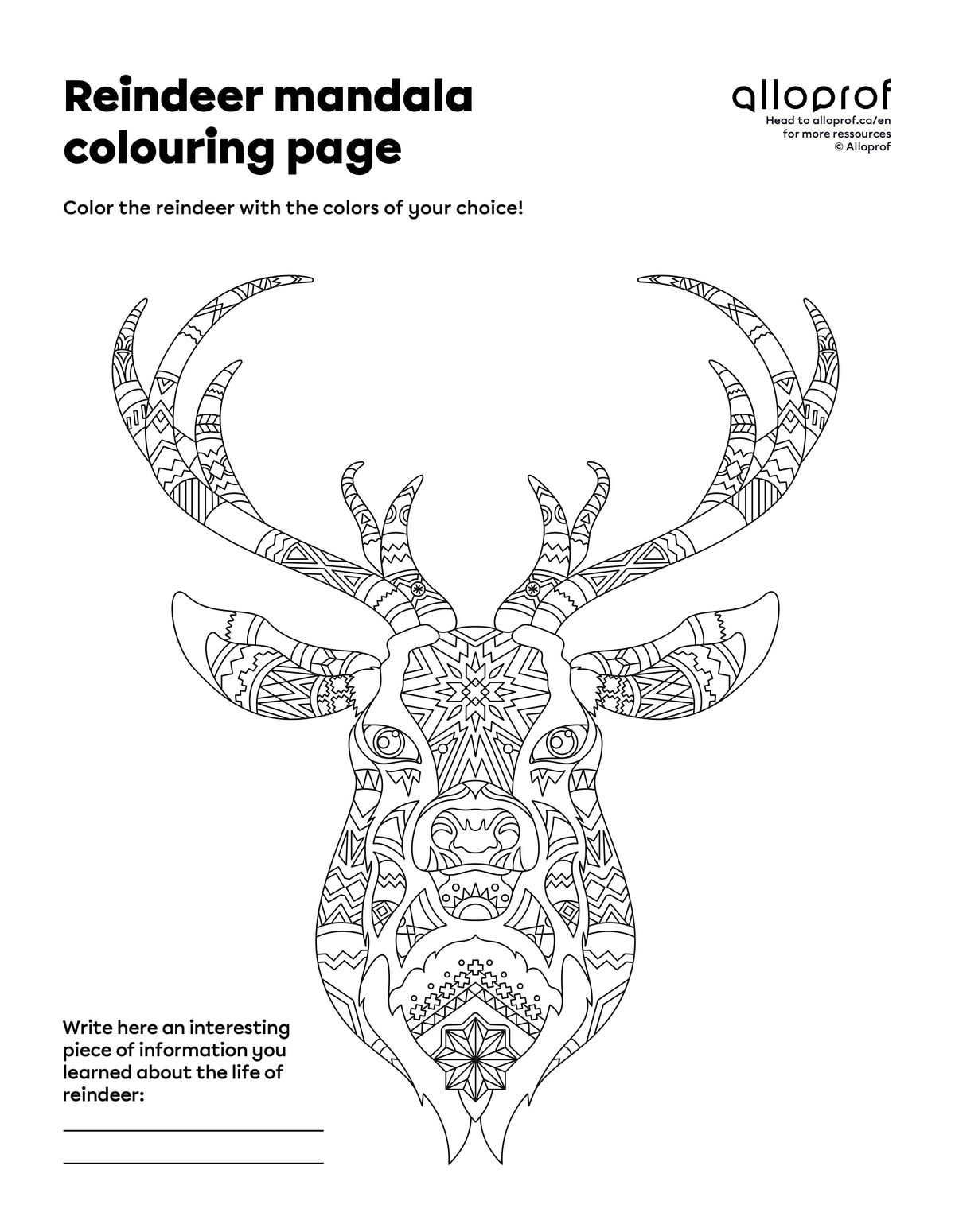 A preview of the Mandala.