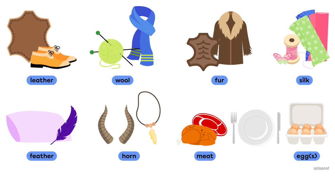 Animal-based materials and resources vocabulary such as leather, wool and meat.
