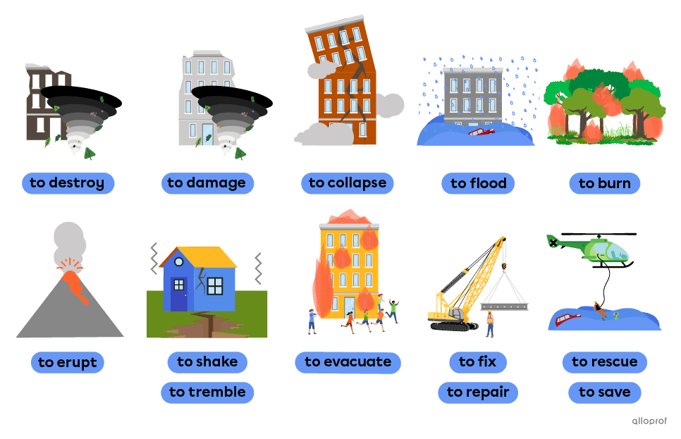 Verbs related to natural disasters such as to destroy, to collapse and to rescue.