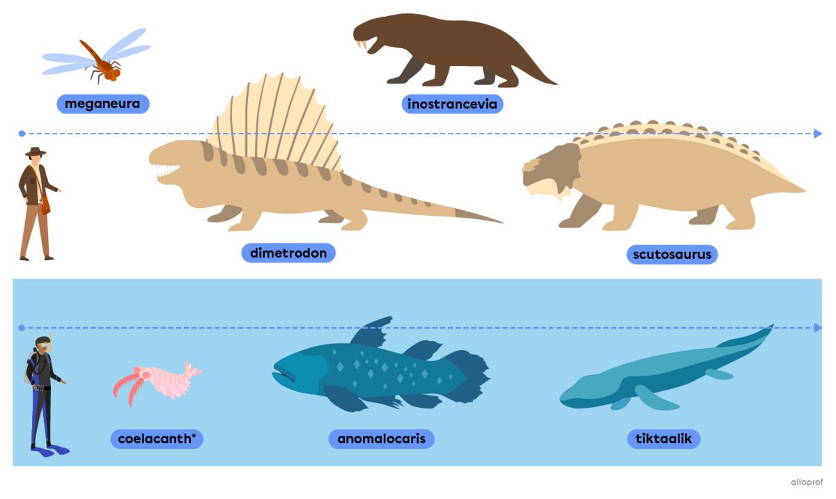 Prehistoric animals from before the dinosaur era, such as the dimetrodon, the meganeura and the anomalocaris.