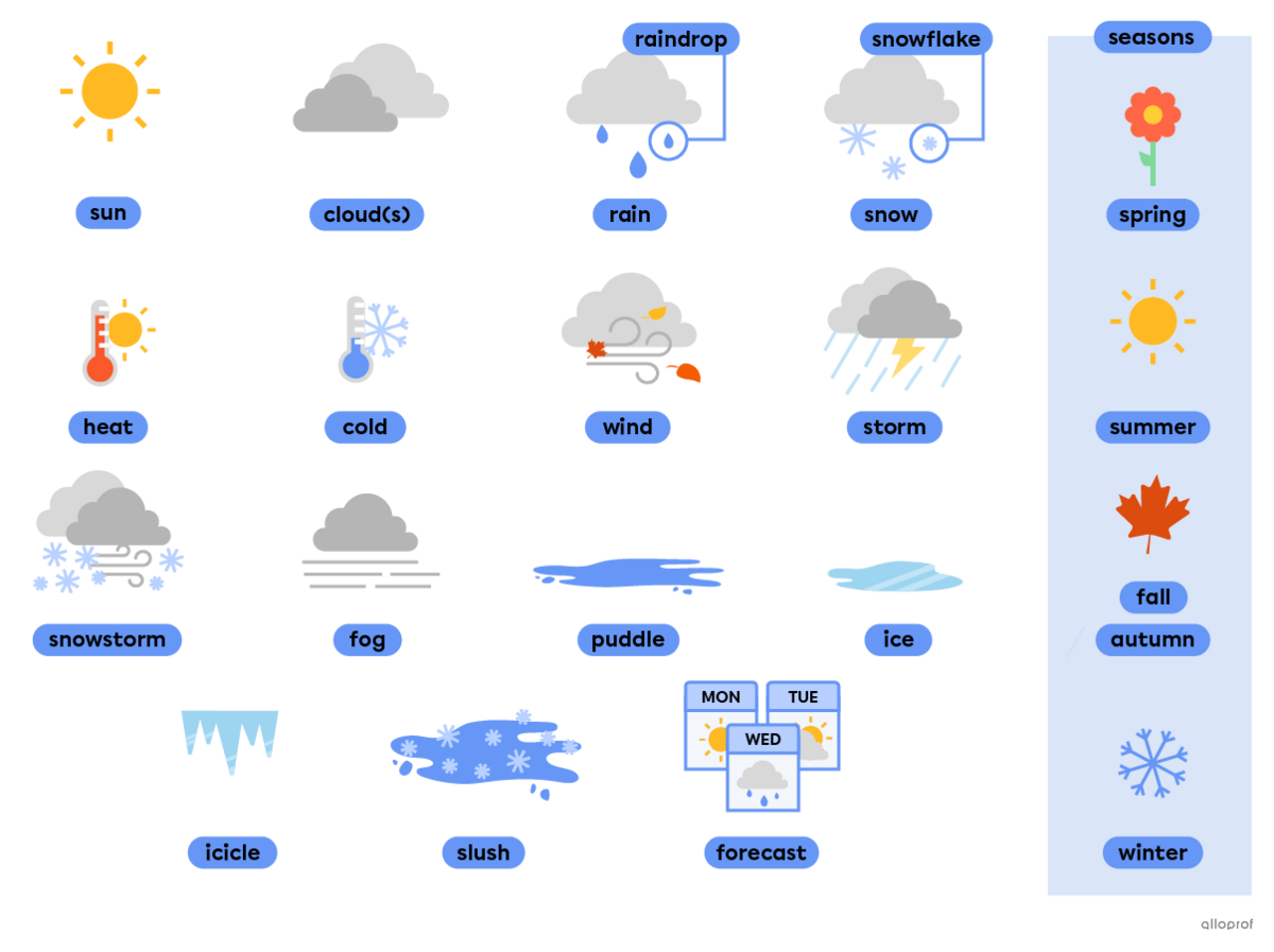 Weather vocabulary such as sun, cloud and rain.