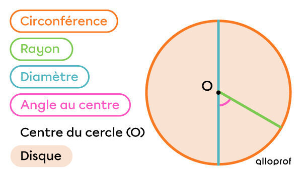 Les parties du cercle