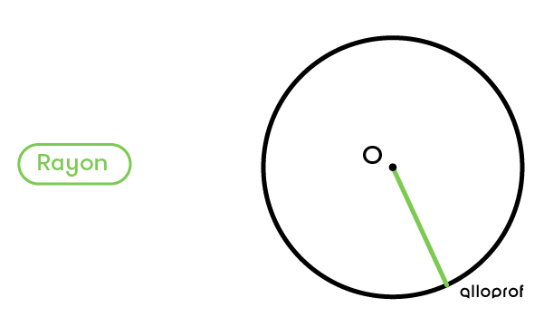 Différents rayons d’un cercle