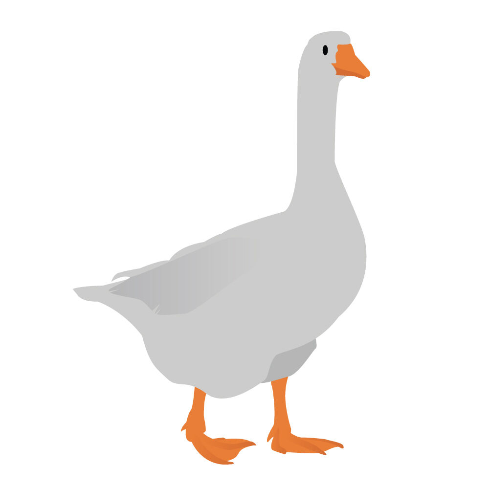 a0006i-goose.jpg