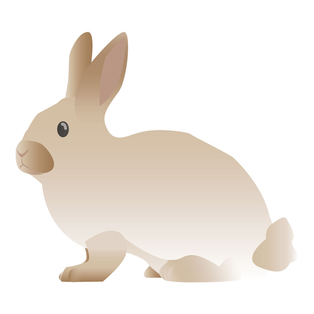 a0016i-bunny.jpg