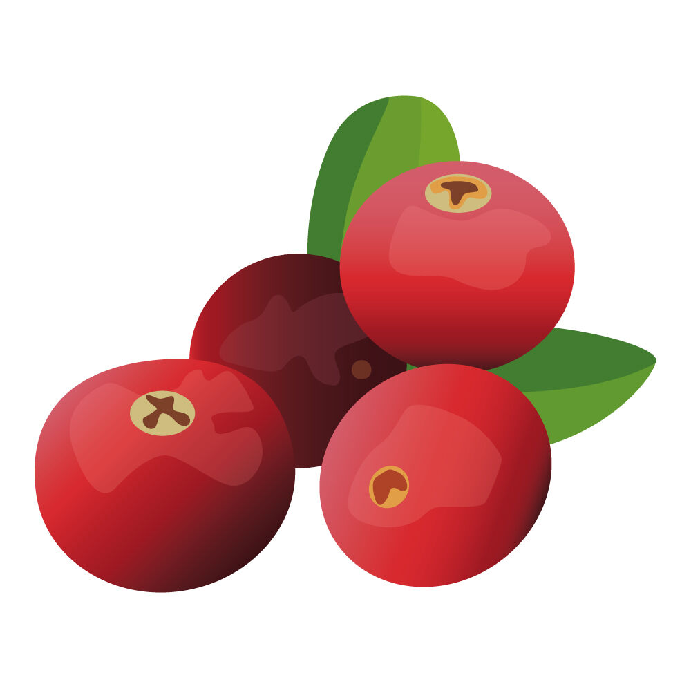a0017i-cranberry.jpg