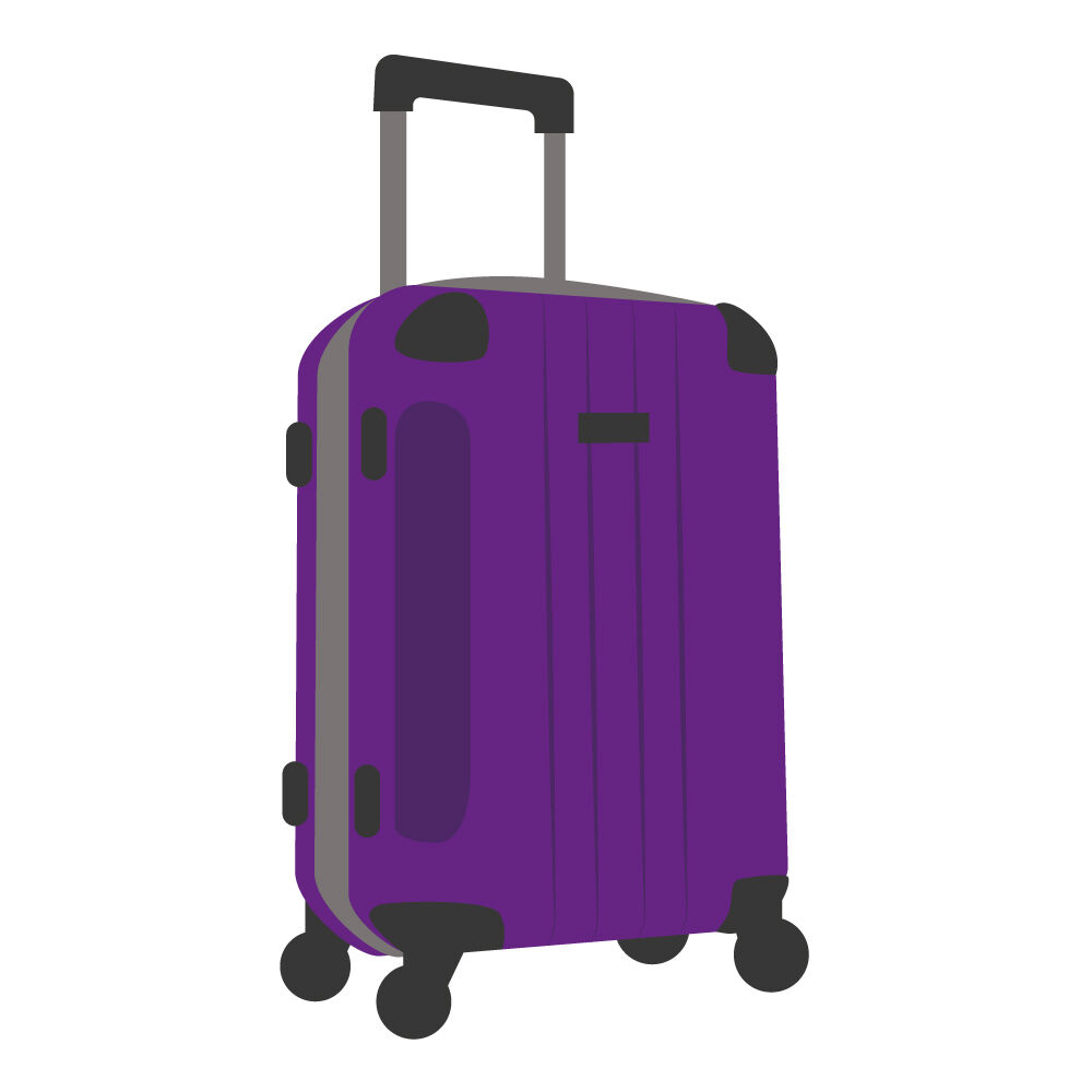 a0034i-luggage.jpg