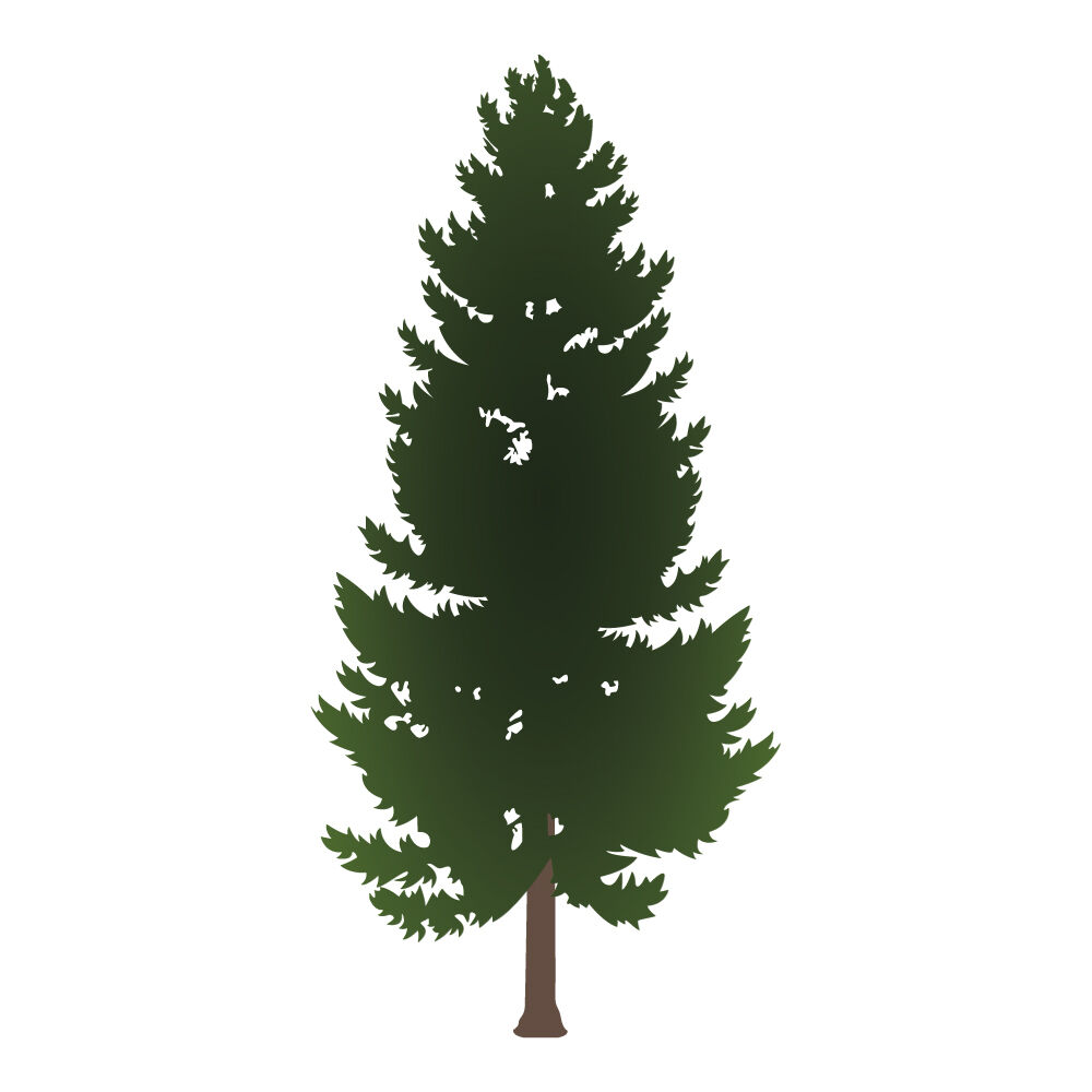 a0047i-pinetree.jpg