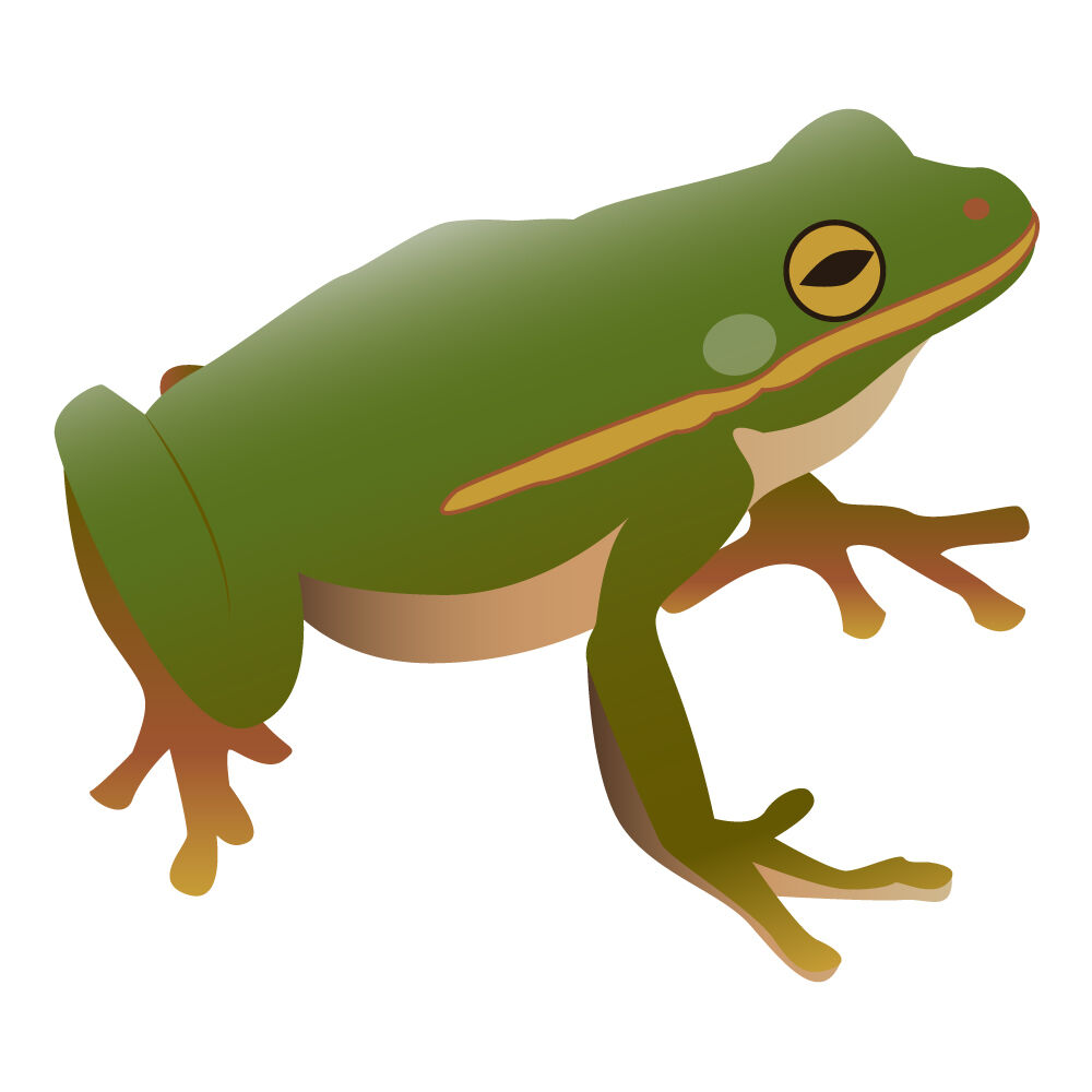 a0308i-frog.jpg