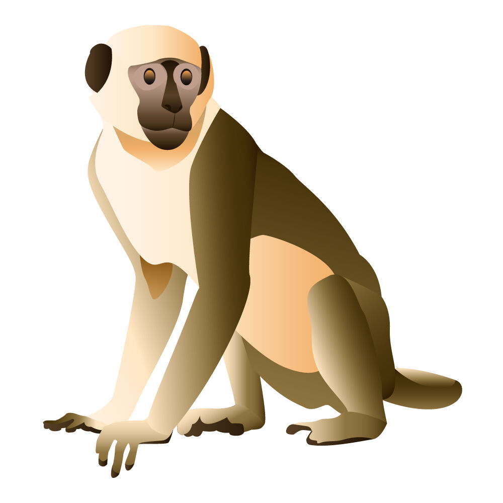 a0308i-monkey.jpg