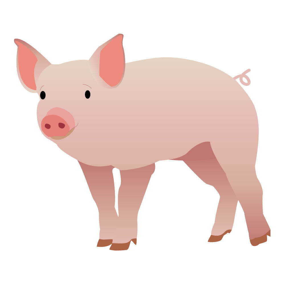 a0308i-pig.jpg