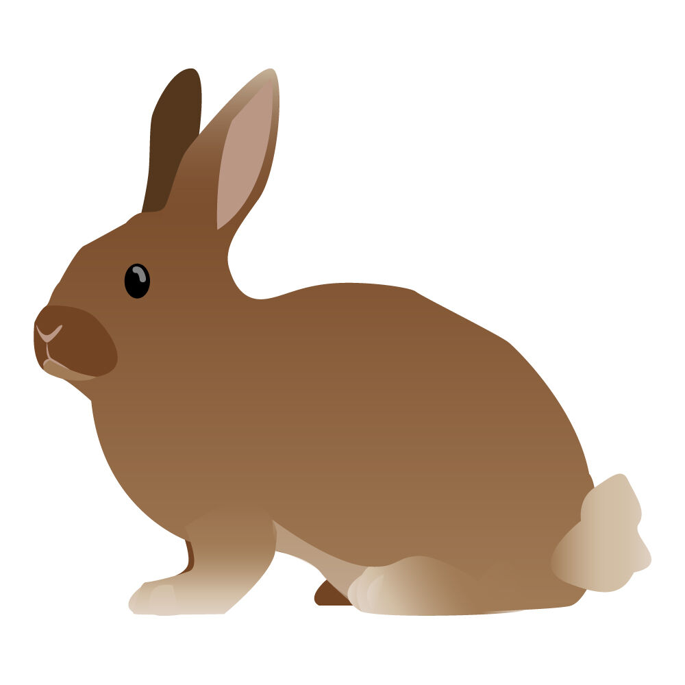 a0308i-rabbit.jpg