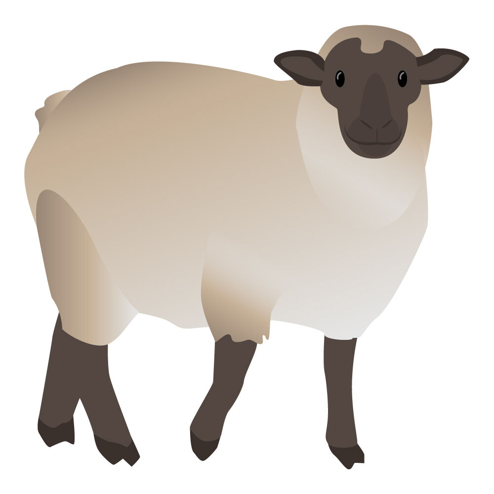 a0308i-sheep.jpg