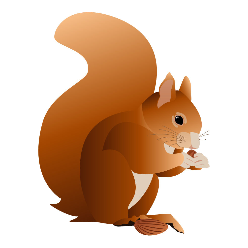 a0308i-squirrel.jpg