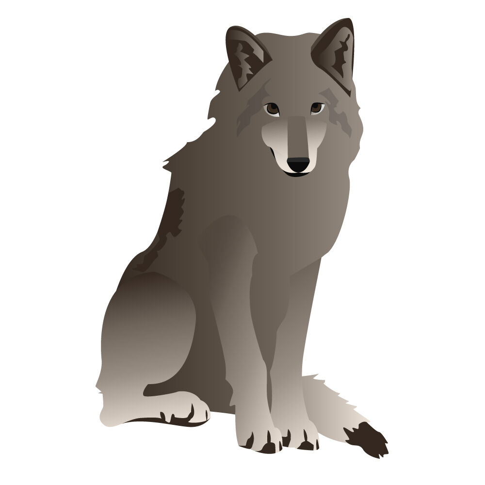 a0308i-wolf.jpg