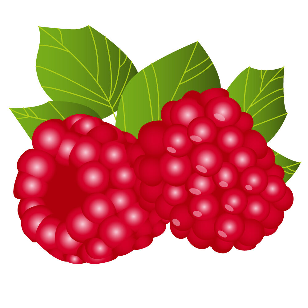 a0309i-raspberry.jpg