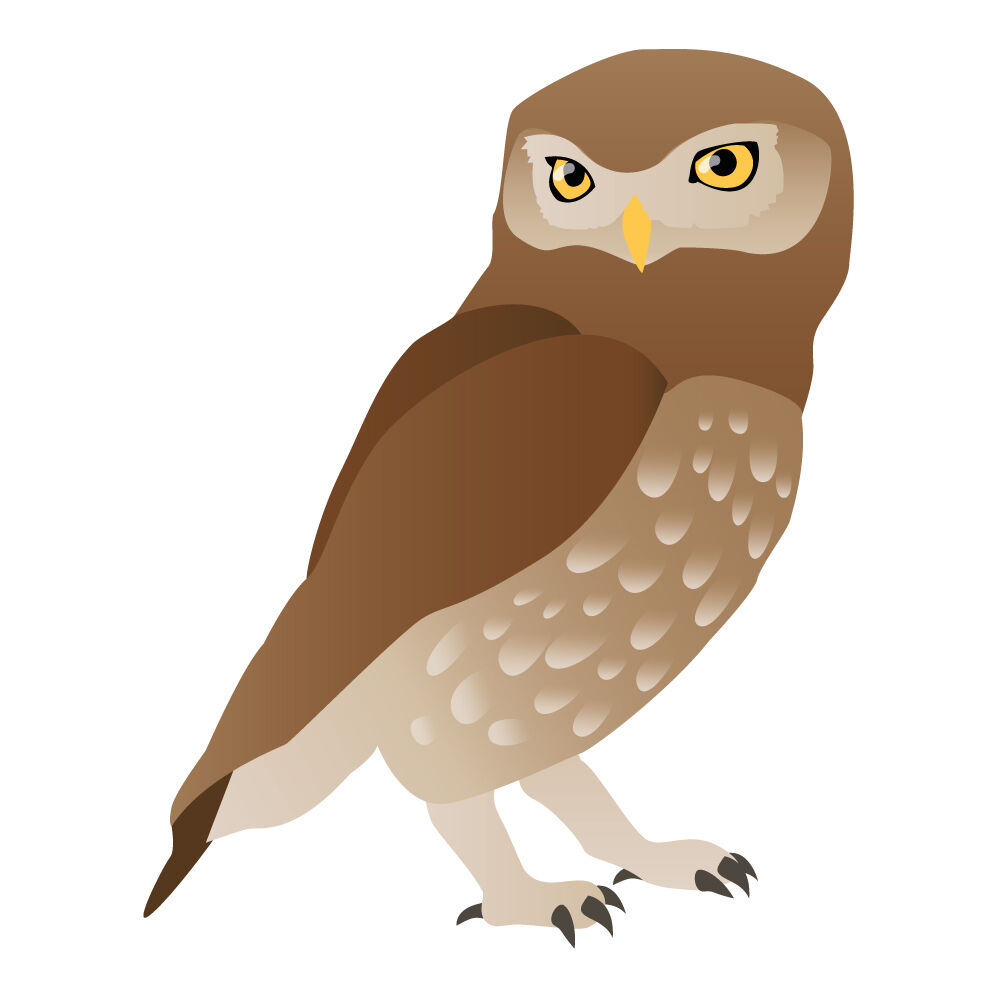 a0311i-owl.jpg