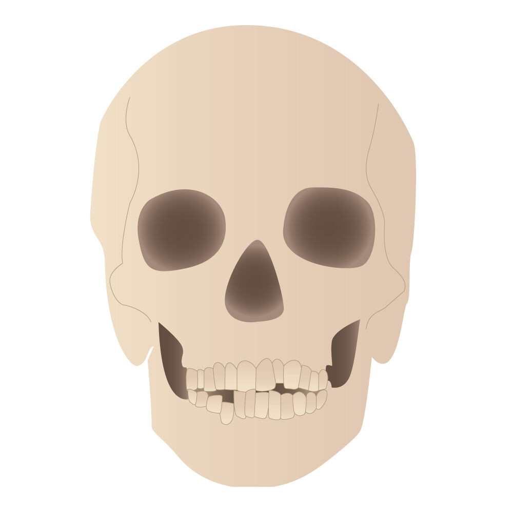 a0311i-skull.jpg
