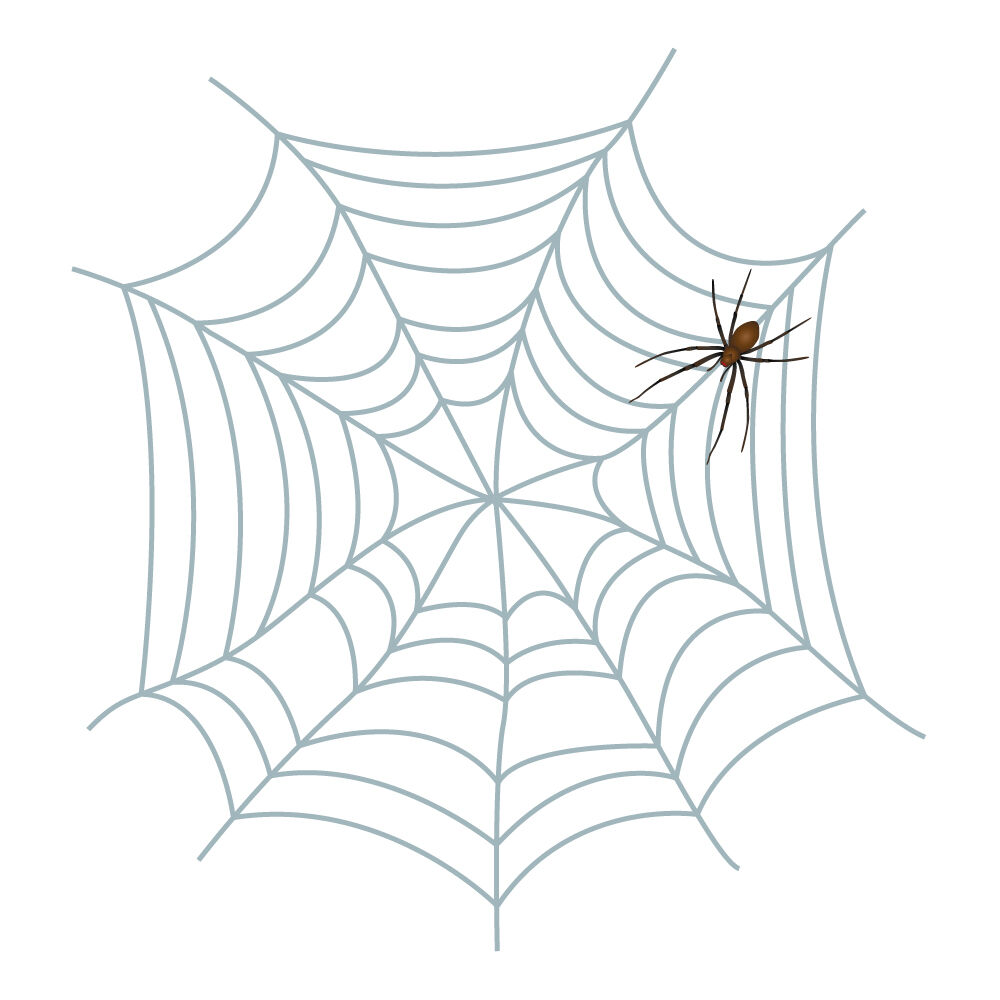 a0311i-spiderweb.jpg