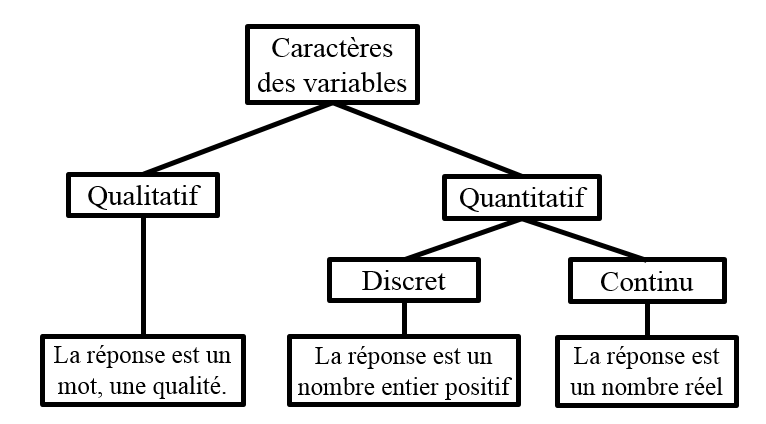 Les Types De Caractères Des Variables | Alloprof