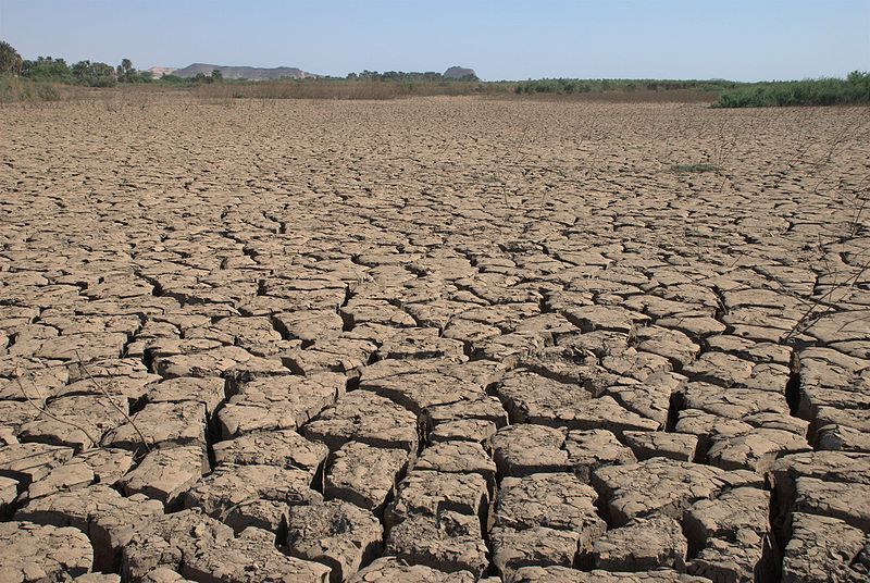 Les types de sols Alloprof