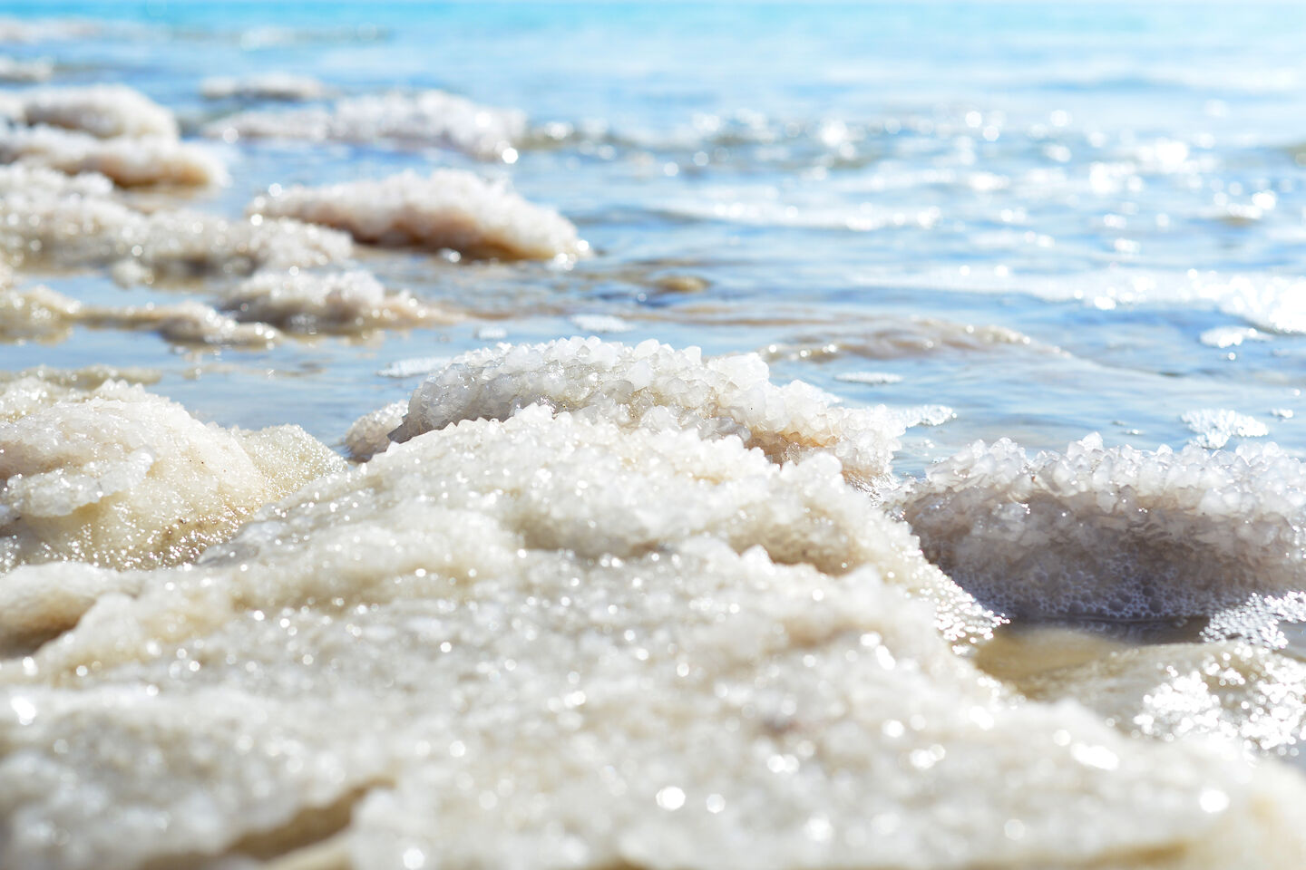 La salinité de l'eau Alloprof La salinité de l'eau Alloprof