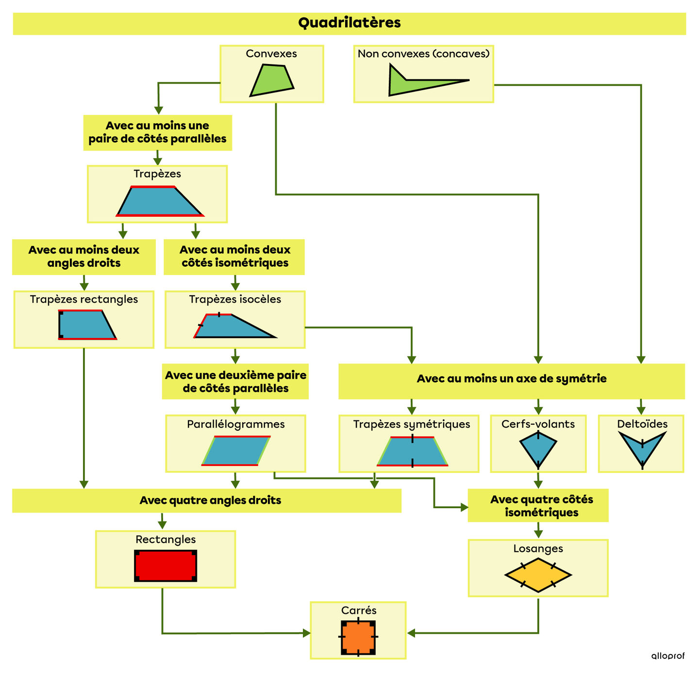 Les Quadrilatères | Secondaire | Alloprof