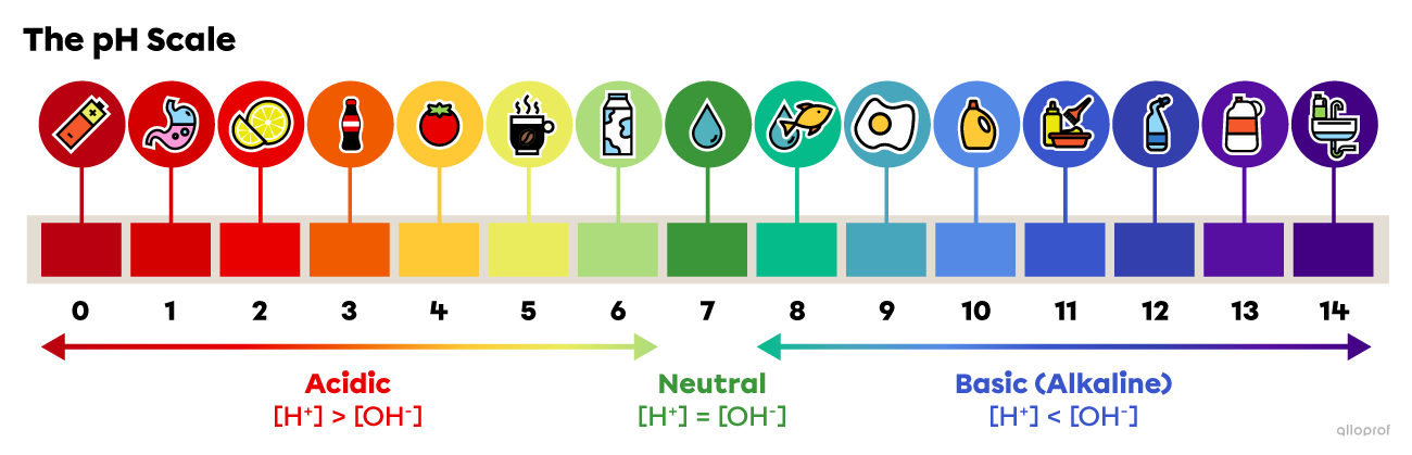 The pH Scale and Acid-Base Indicators | Secondaire | Alloprof