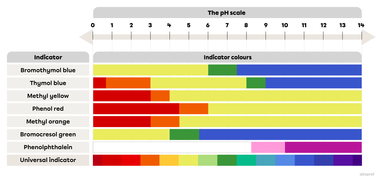 The pH Scale and AcidBase Indicators Secondaire Alloprof