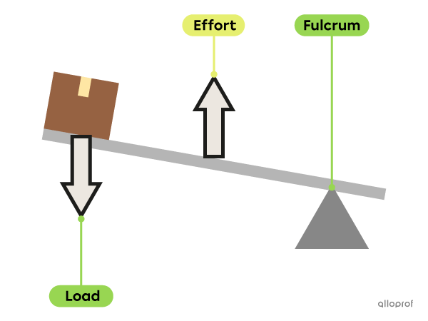 The Lever | Alloprof
