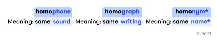 Homonyms, Homophones & Homographs | Alloprof