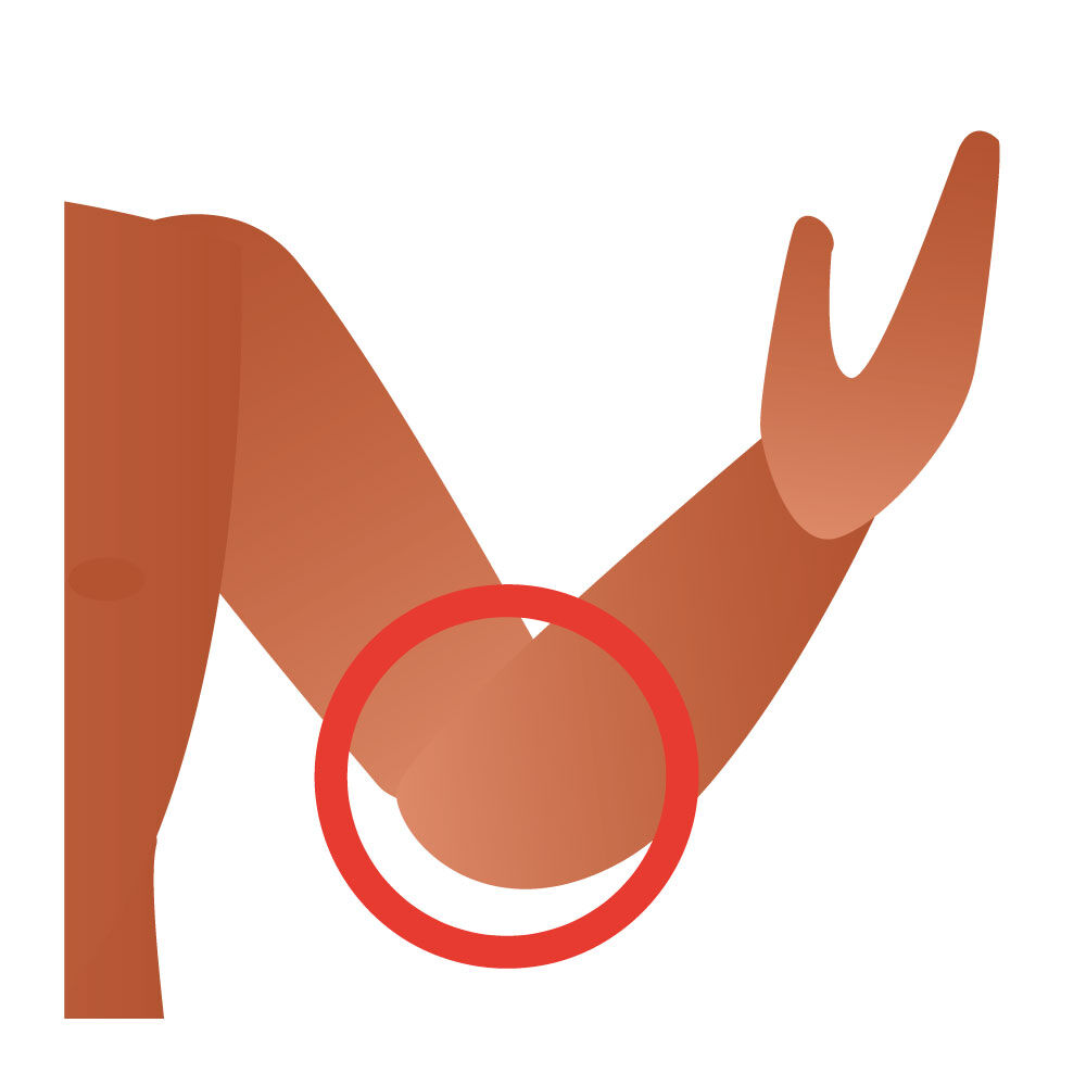 Human Body Primaire Alloprof