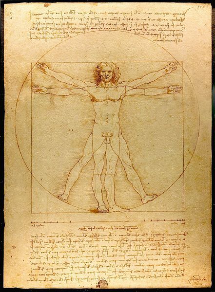 L'Homme de Vitruve (1485-1490), par Léonard de Vinci
