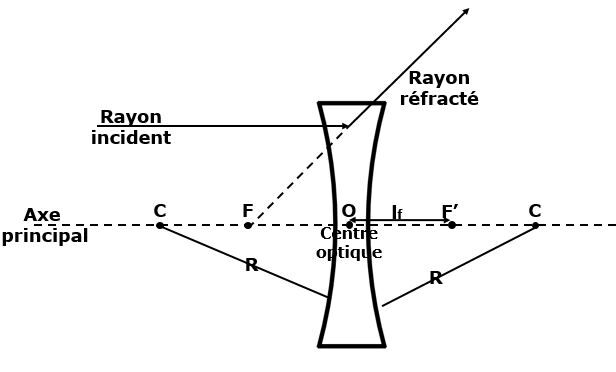 Rayons