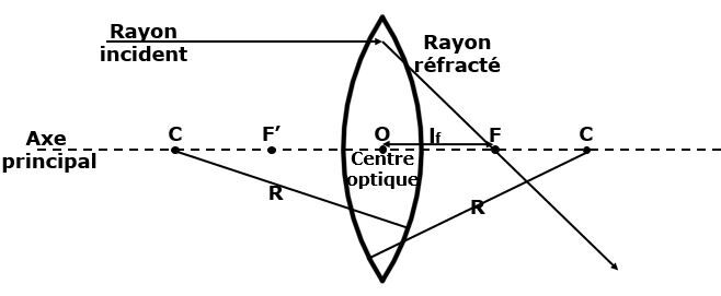 Lentille