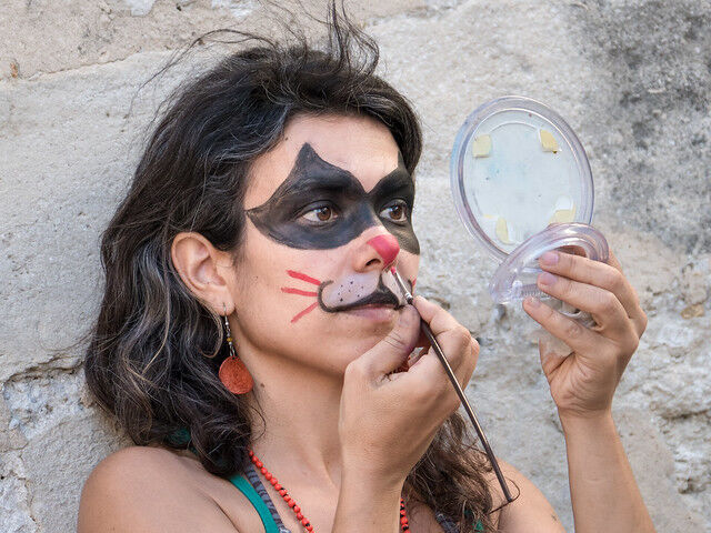 Makeup application
