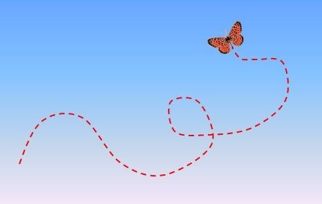 Papillon