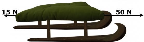 Sled