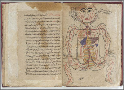 One of Avicenna's illustrated treatises (the Canon).