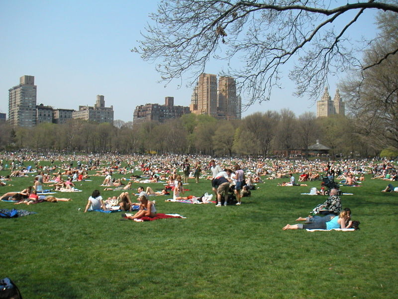 Central Park Today.