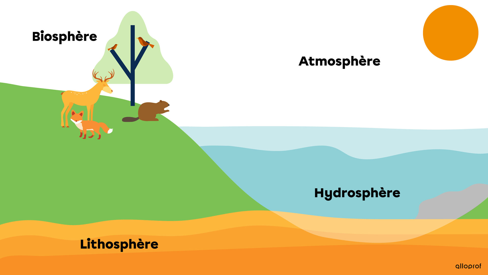 Schéma Illustrant Les Interactions Entre La Biosphère Et L'atmosphère La Terre et ses caractéristiques | Alloprof