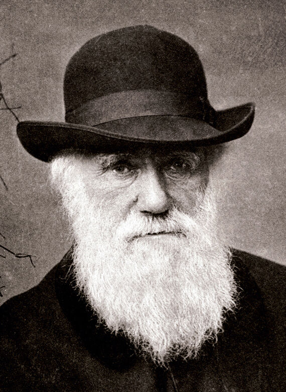 Charles Darwin en 1880