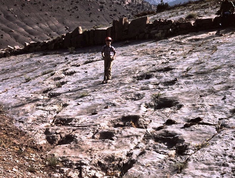 Fossilized traces